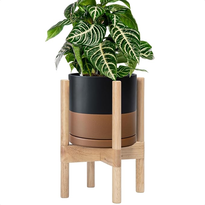 D'vine Dev Ceramic Pot with Natural Wood Stand, 8 in, 55-B-N-7 | Mid-Century by DvineDevPlanterPotsandStand