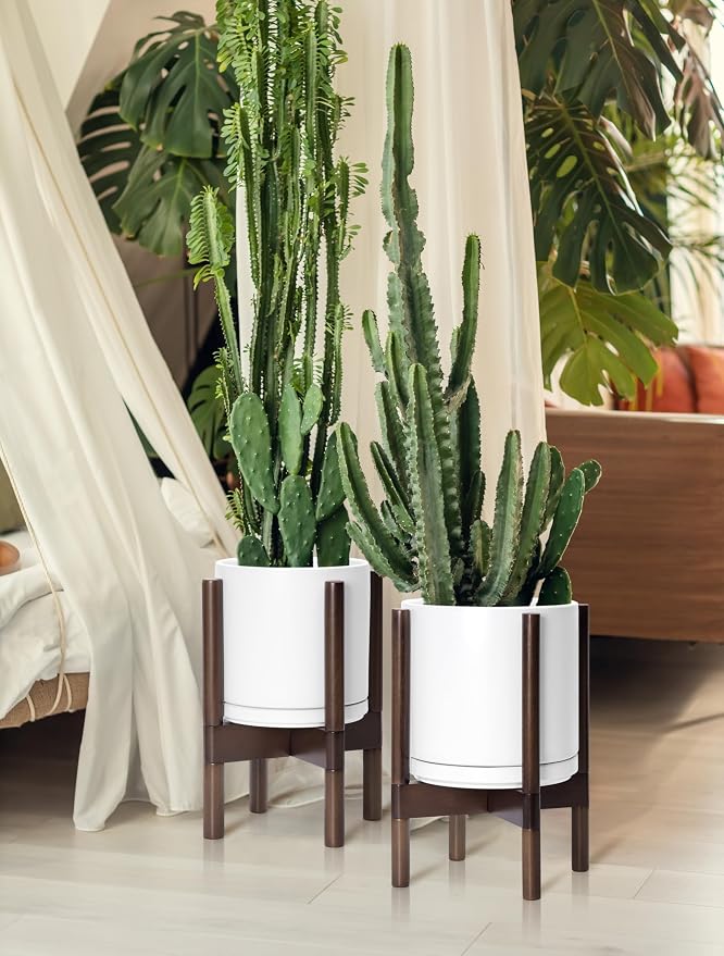 D'vine Dev Ceramic Pot with Walnut Wood Stand, 8 in, 55-B-Y-1 | Mid-Century - Image 2