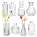 Clear Flower Vase Set, Glass Bud Vase in Bulk Set of 8 | Artistic and Cultural by Brajttt
