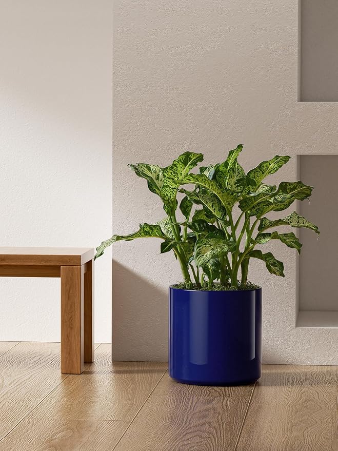 LE TAUCI 12 Inch Pot for Plants, Ceramic Planters for Indoor Plants, - Image 6