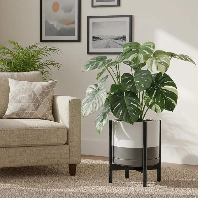D'vine Dev Ceramic Pot with Ebony Wood Stand, 14 in, 55-B-S-6 | Mid-Century - Image 6