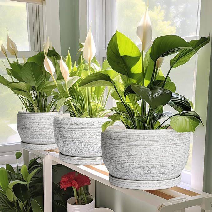 SQOWL Ceramic Plant Pots - Image 6