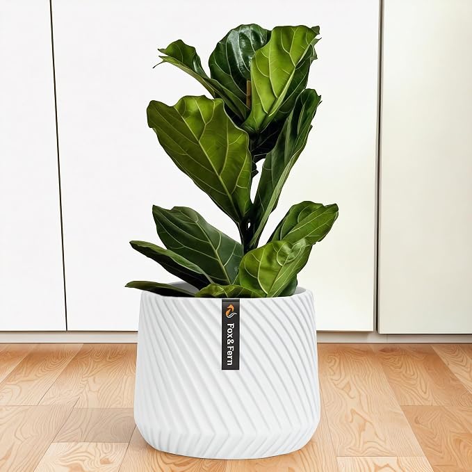 Fox & Fern Large Planter for Indoor or Outdoor, Matte White, 12 Inch | UV & by FoxFern