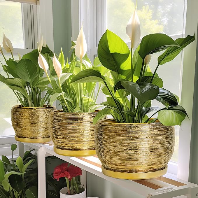 SQOWL Ceramic Flower Pot - Image 6