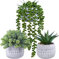 Winlyn 3 Pcs Assorted Small Potted Succulent Plants Artificial Aloe Hops String by Winlyn