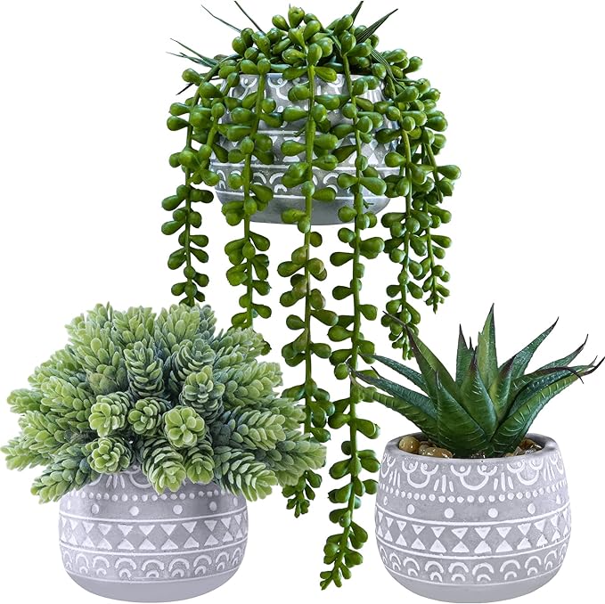 Winlyn 3 Pcs Assorted Small Potted Succulent Plants Artificial Aloe Hops String by Winlyn