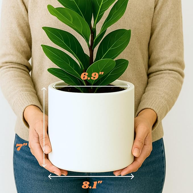 Fox & Fern Large Planter for Indoor or Outdoor, Matte White, 8 Inch | UV & - Image 6