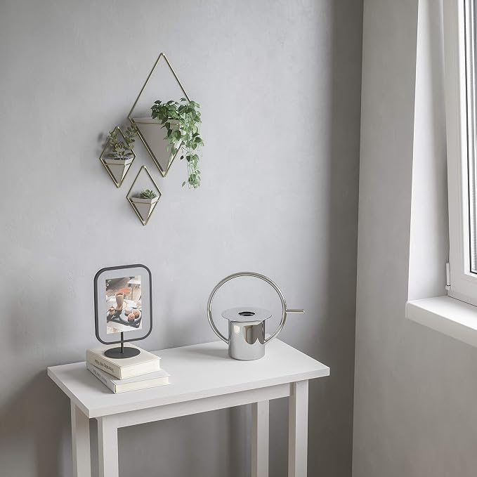 Umbra Trigg Hanging Planter for Small Plants - Image 10