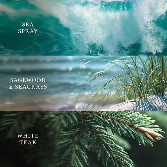 Woodwick Driftwood Shores Ellipse Trilogy Candle - Image 3
