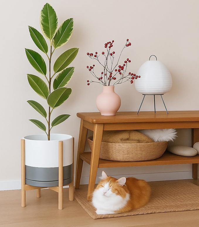 D'vine Dev Ceramic Pot with Natural Wood Stand, 12 in, 55-B-J-6 | Mid-Century - Image 4