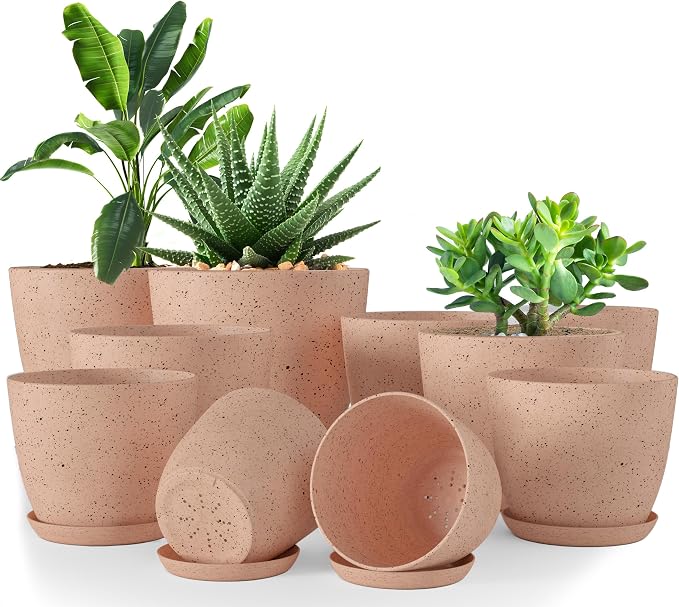 Plant Pots Indoor with Drainage 10 Pack Planters Spotty Peach Pink | Drainage by UTOPIAHOME