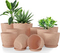 Plant Pots Indoor with Drainage 10 Pack Planters Spotty Peach Pink | Drainage by UTOPIAHOME