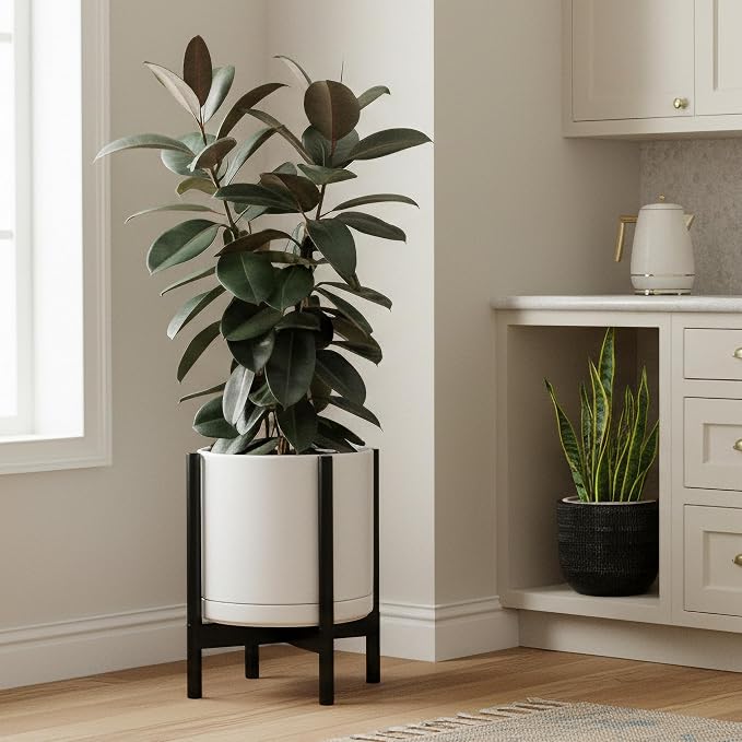 D'vine Dev Ceramic Pot with Ebony Wood Stand, 12 in, 55-B-H-1 | Mid-Century - Image 2