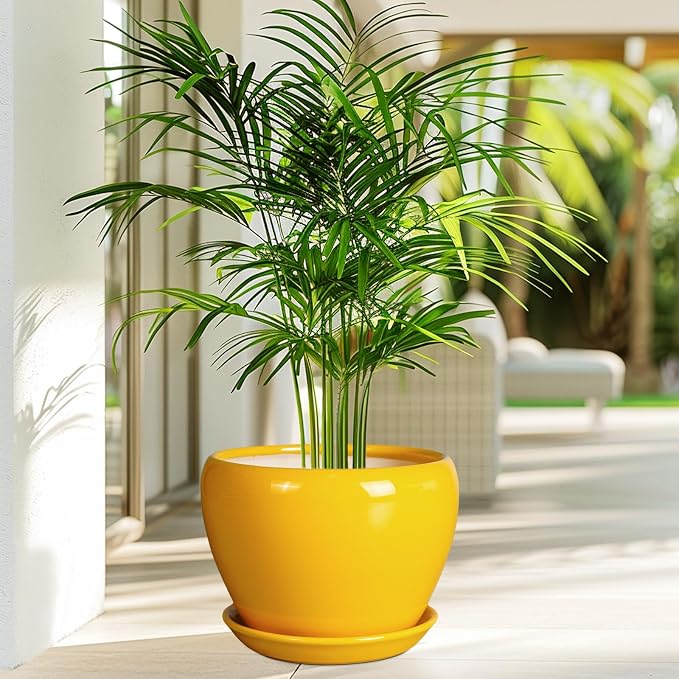 Ceramicfor 8 Inch Plant Pot - Image 4