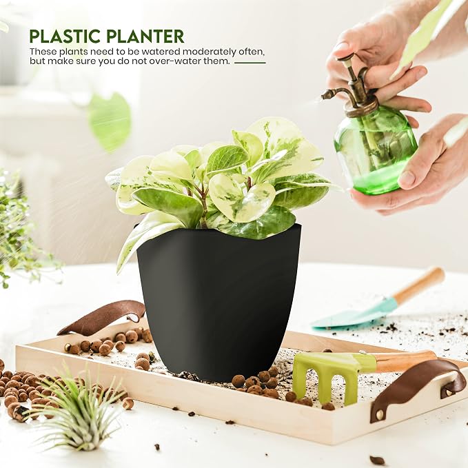 Plant Pots Indoor with Drainage, 5 Pack Multi-Size Planters Set - Image 5