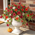 Ammyoo Artificial Fall Flowers Fake Petunias Plants by Ammyoo