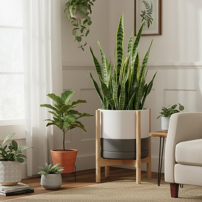 D'vine Dev Ceramic Pot with Natural Wood Stand, 14 in, 55-B-R-6 | Mid-Century - Image 4