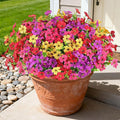 16PCS UV Resistant Artificial Flowers by AmberFun