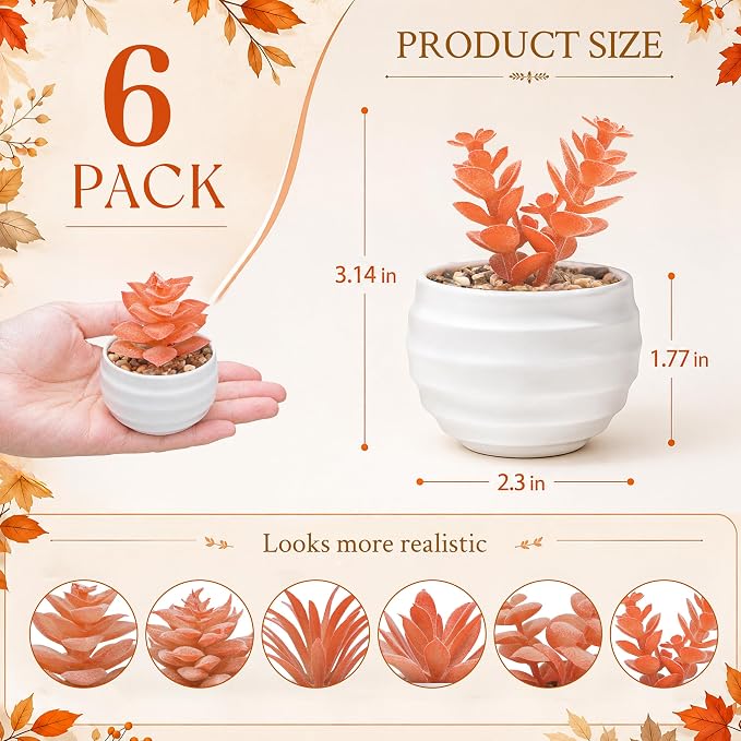 Der Rose 6 Pack Fall Fake Succulent Plants in White Pots - Image 2