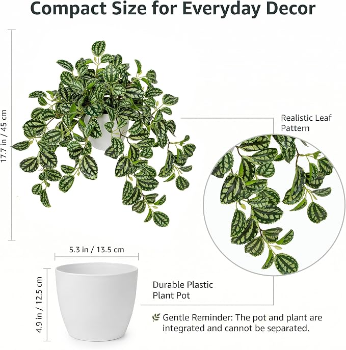 Briful Faux Plant Indoor, 17.7" Artificial Watermelon Peperomia Trailing Plant - Image 2