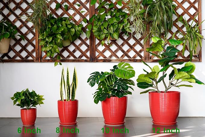 6 Inch Ceramic Plant Pot - Image 9