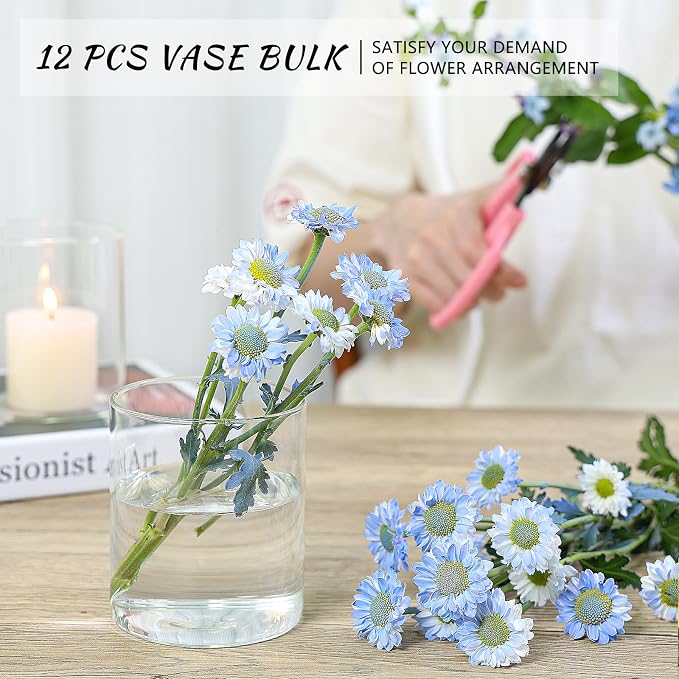 SUPMIND 12Pcs Glass Cylinder Vase - Image 6