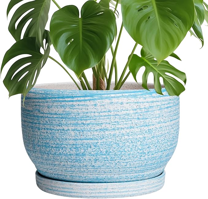 SQOWL Ceramic Plant Pots by SQOWL