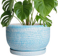 SQOWL Ceramic Plant Pots by SQOWL