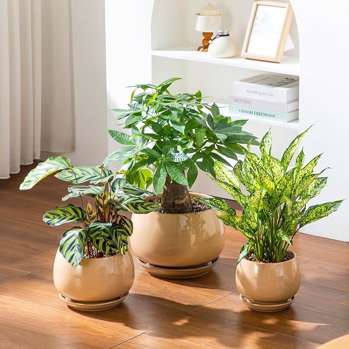 vancasso 3-Pack Ceramic Plant Pots, 7.3/9.6/11.6 Inch Indoor Planters - Image 6