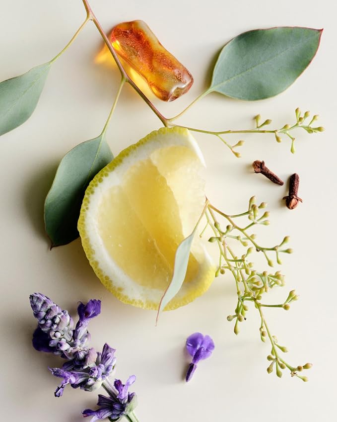 Maison Louis Marie - Image 5