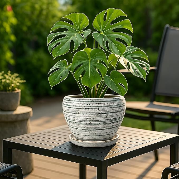 Deep Dream 8 Inch Plant Pots- Ceramic Pots - Image 2