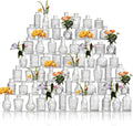 Glass Bud Vases Set of 64 by Unknown