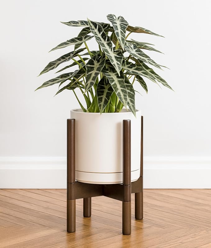 D'vine Dev Ceramic Pot with Walnut Wood Stand, 8 in, 55-B-Y-8 | Mid-Century - Image 4