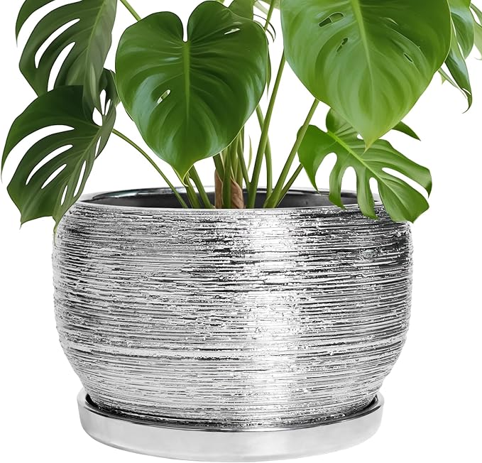 SQOWL Ceramic Pot for Plants by SQOWL