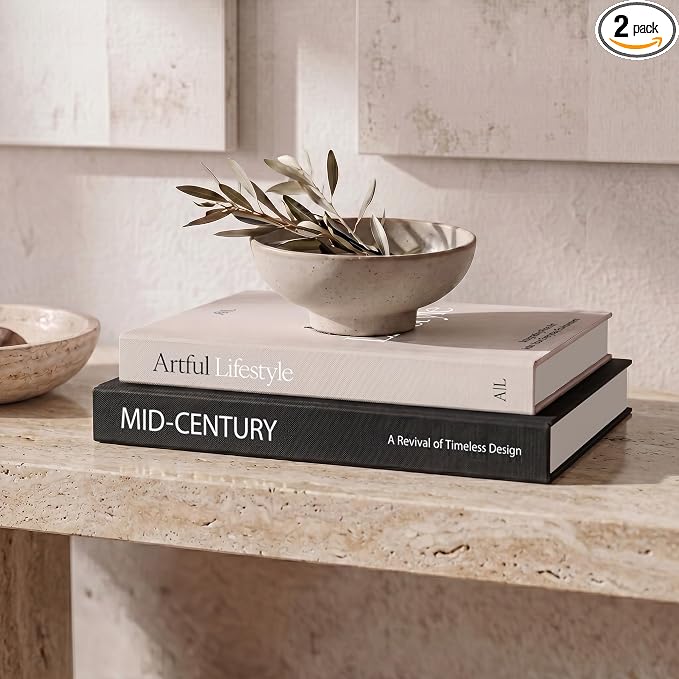 Aesthetic Decorative Books Set of 2 by ZICOTO