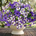 Rowfad 36 Pcs Artificial Fake Pansy Flowers by RowfadFlora