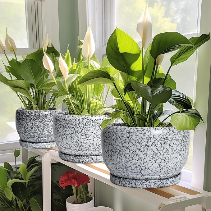 SQOWL 8 inch Plant Pot - Image 6