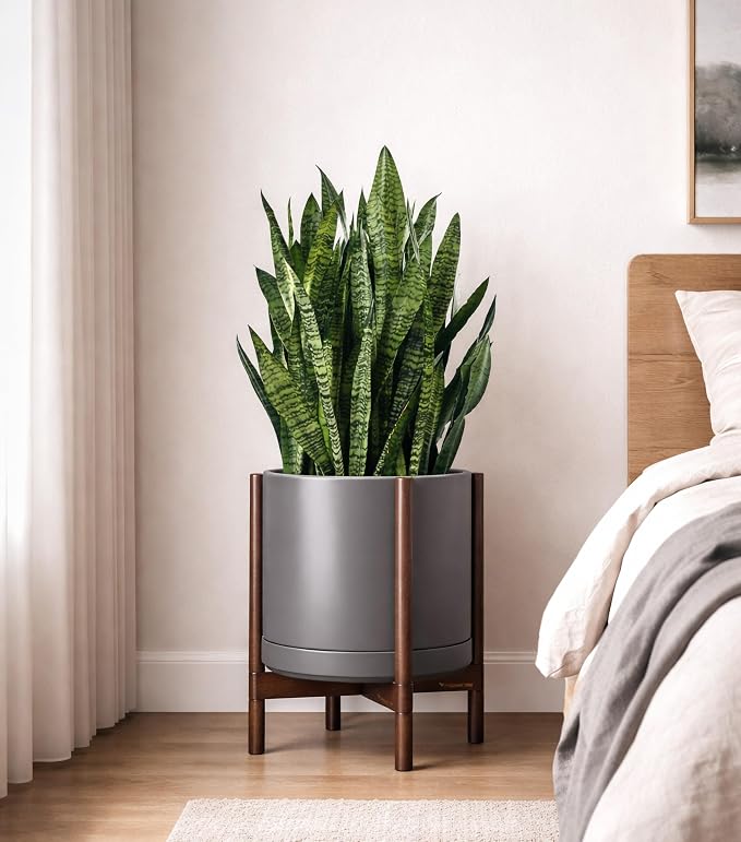 D'vine Dev Ceramic Pot with Walnut Wood Stand, 14 in, 55-B-T-3 | Mid-Century - Image 6