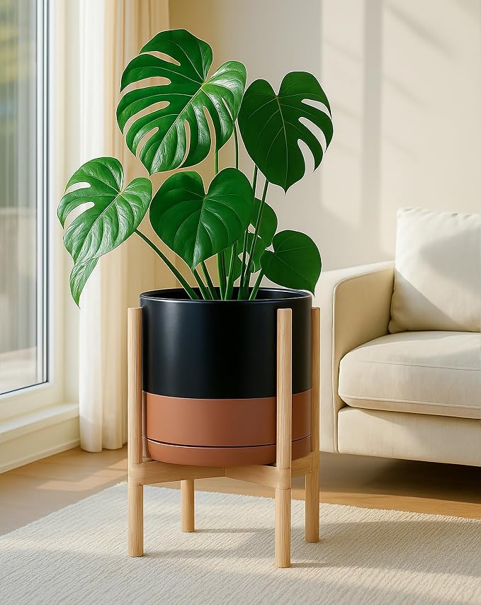 D'vine Dev Ceramic Pot with Natural Wood Stand, 12 in, 55-B-J-7 | Mid-Century - Image 2