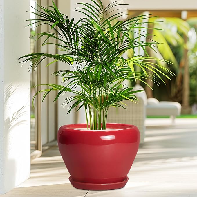Ceramicfor 10 Inch Plant Pot, Ceramic Planter - Image 4