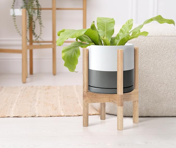 D'vine Dev Ceramic Pot with Natural Wood Stand, 8 in, 55-B-N-6 | Mid-Century - Image 4
