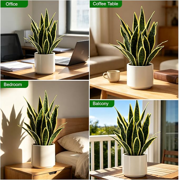Fake Snake Plant 22" Tall, Realistic Touch Leaves, Potted Artificial Plants - Image 3