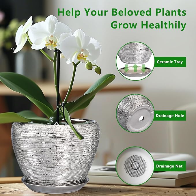 Ceramicfor Ceramic Planter - Image 6