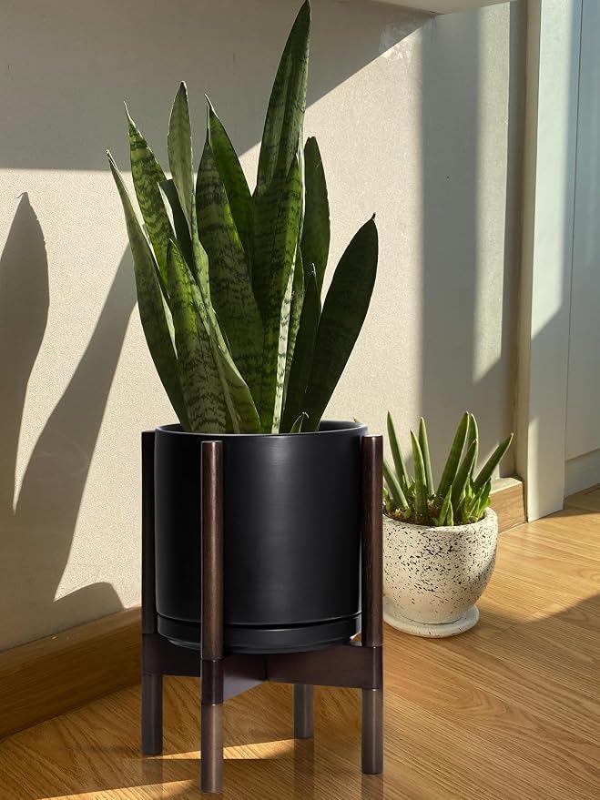 D'vine Dev Ceramic Pot with Walnut Wood Stand, 10 in, 55-B-X-2 | Mid-Century - Image 6