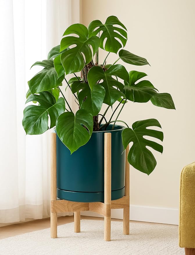 D'vine Dev Ceramic Pot with Natural Wood Stand, 12 in, 55-B-J-4 | Mid-Century - Image 6