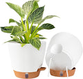 2 Pack 8 Inch Pots for Plants Indoor, Plastic Self Watering Planters | Drainage by Fielda