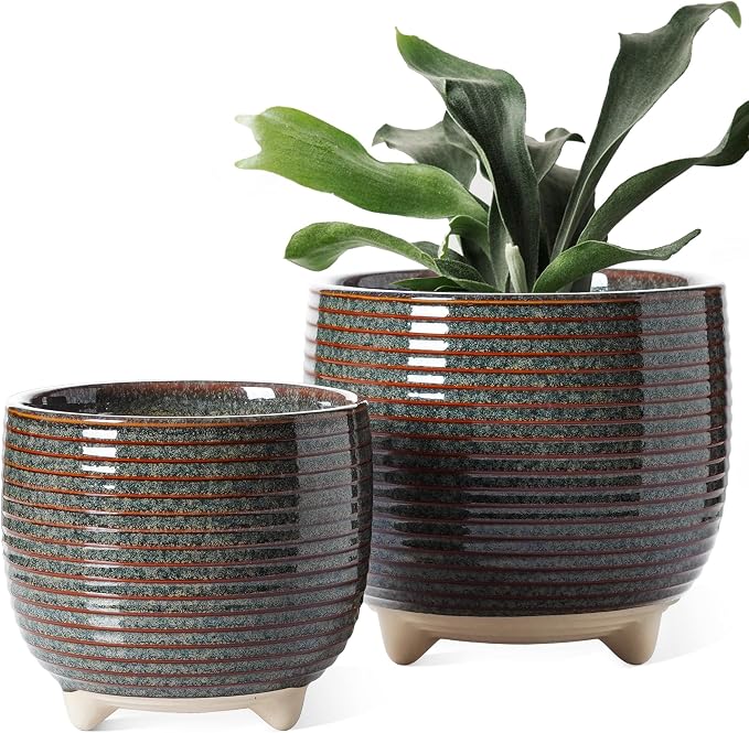 LE TAUCI Ceramic Plant Pots, 5.1 + 6.4 Inch Footed Pots by LETAUCI