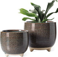 LE TAUCI Ceramic Plant Pots, 5.1 + 6.4 Inch Footed Pots by LETAUCI