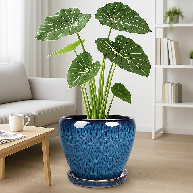 Deep Dream 10 Inch Plant Pot- Ceramic Planter Pot Round Plant Pots - Image 4