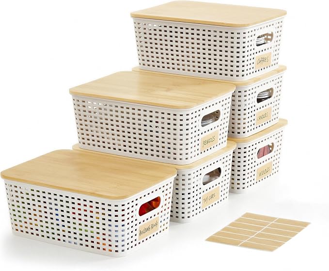Small Plastic Storage Bins by Bagnizer